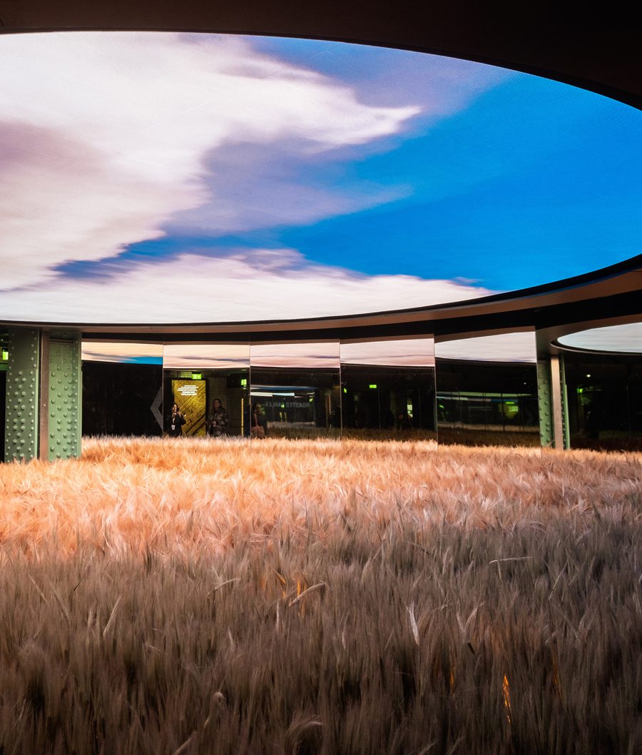 GSH Ingredients Launch Social Content5