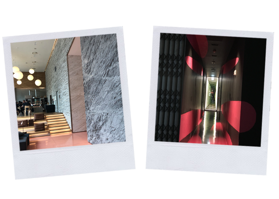RYSE polaroids