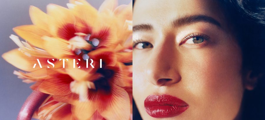 Asteri project img 1