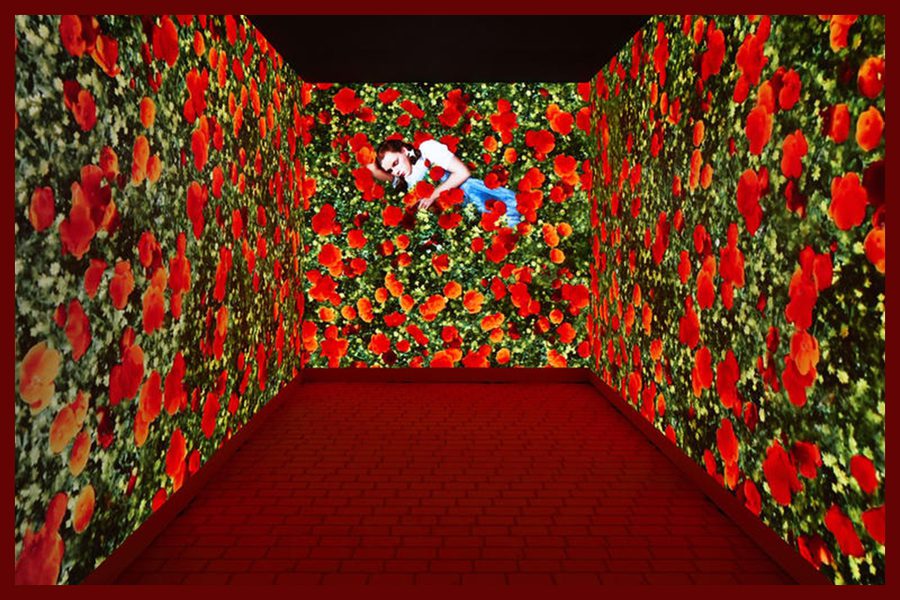 Experiences we love nov18