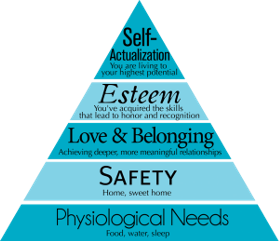 8fb73198776a2679ae54bacca3e2a283 300x259