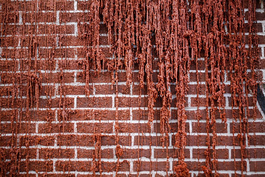 BLOG house of wax generalimage03