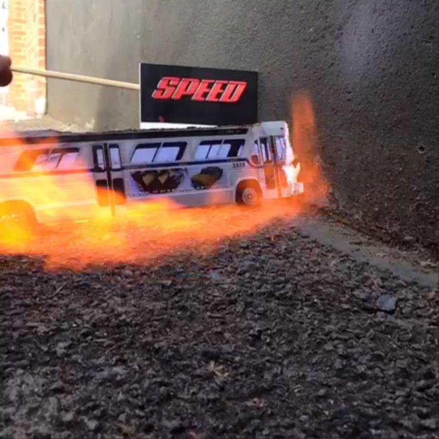 DP spped vine 1024x1024