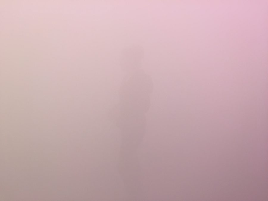 IMG 6652