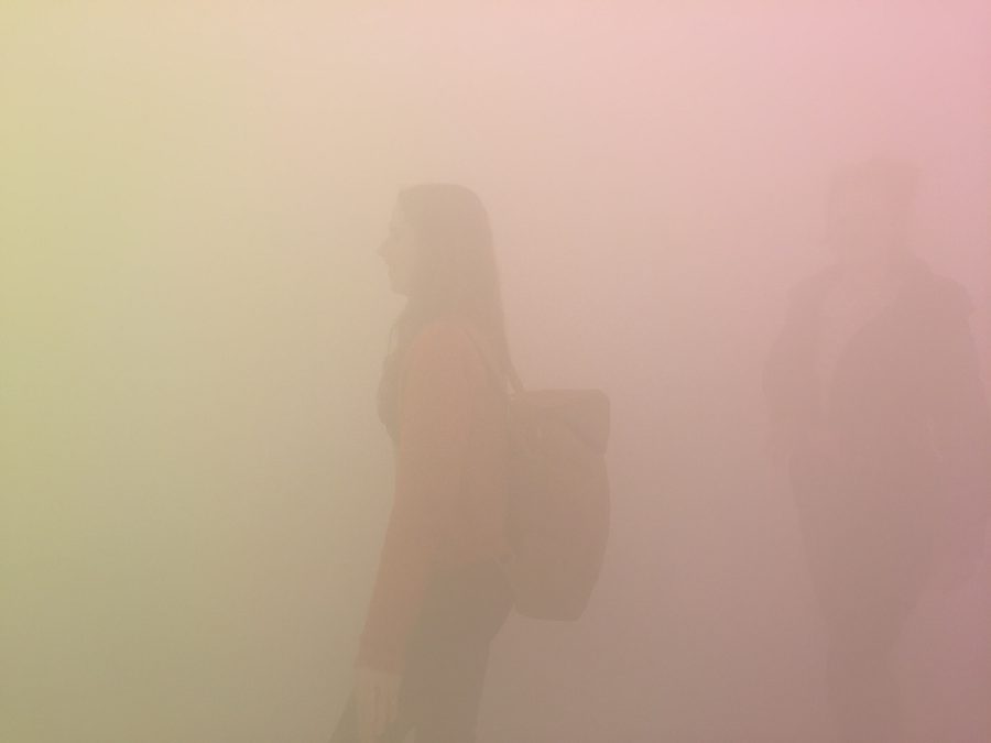 IMG 6655