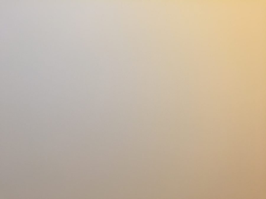 IMG 6678
