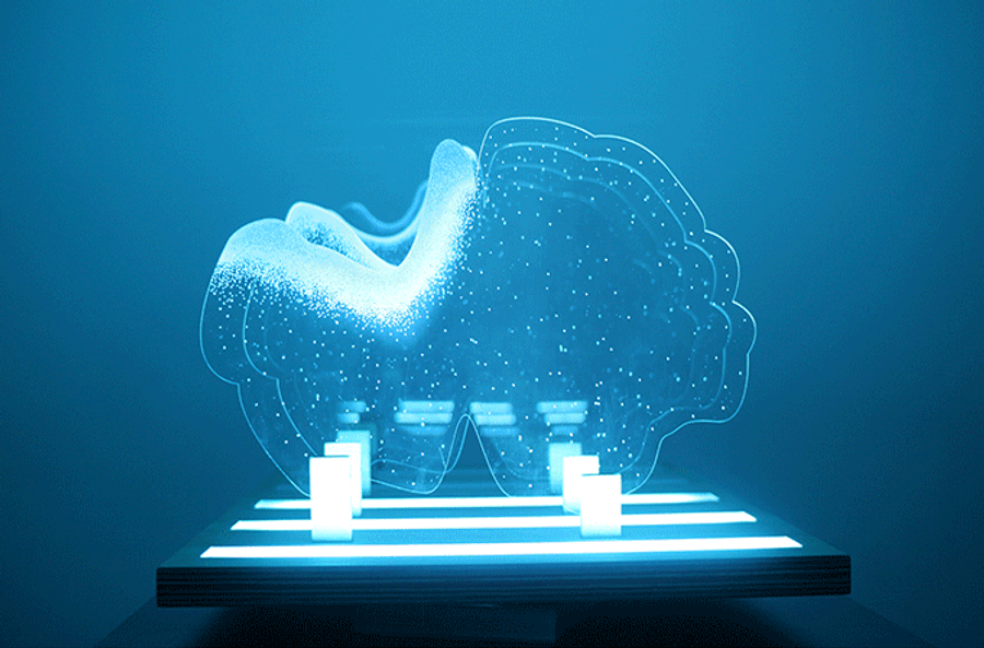 Artneuro Ruth Henry Paz