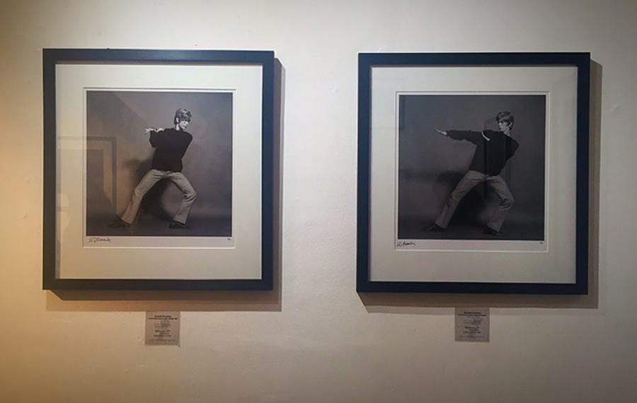 Bowie snap galleries02