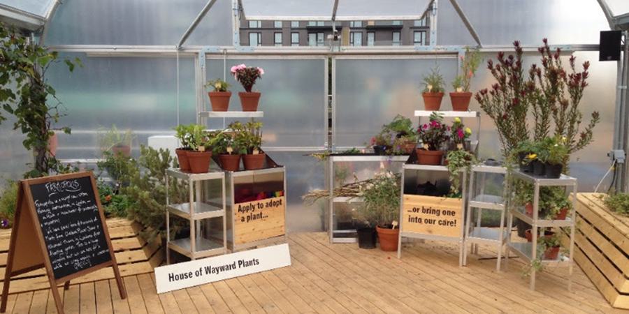 Farmopolis feature02